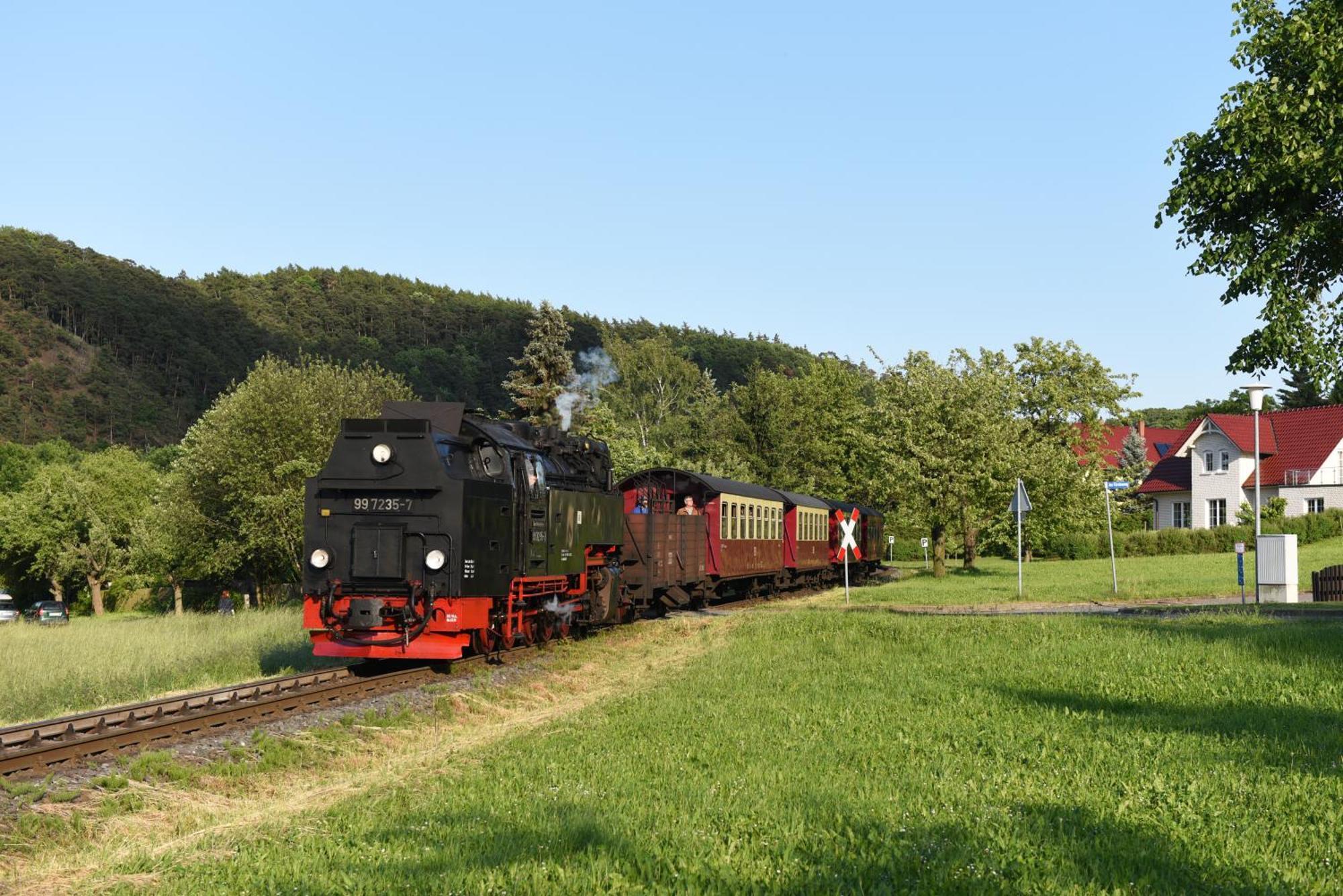 Bungalow Am Osterteich Gernrode  外观 照片